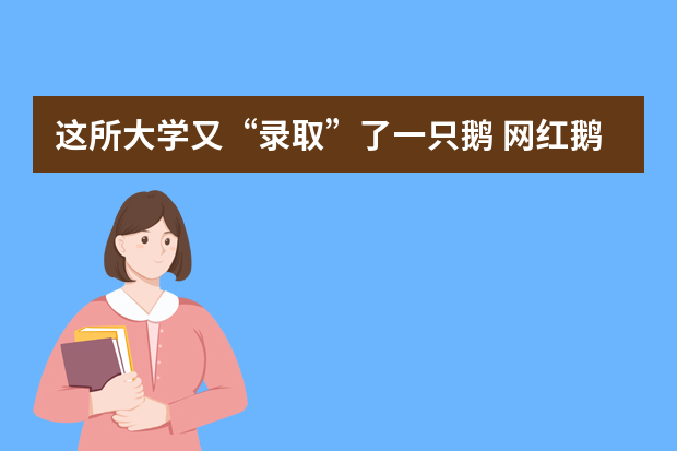 这所大学又“录取”了一只鹅 网红鹅迎来女朋友